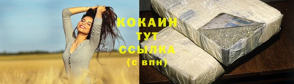 прущие крисы Белокуриха