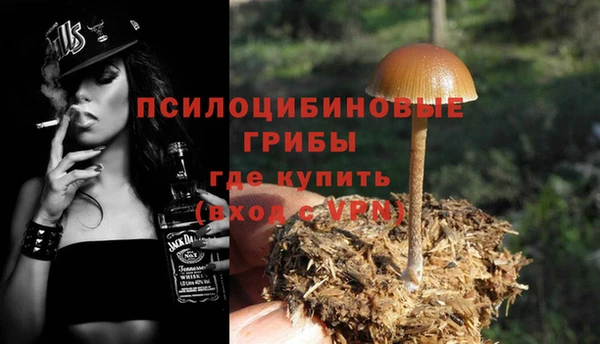 ALPHA PVP Богородск