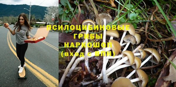 прущие крисы Белокуриха