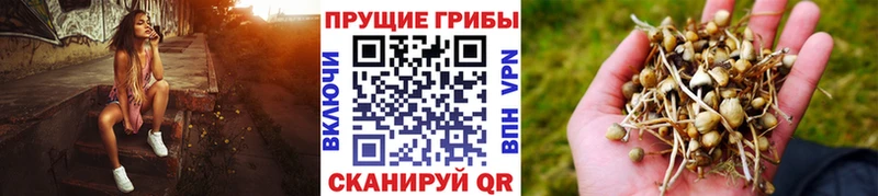 Псилоцибиновые грибы Magic Shrooms  Мелеуз 